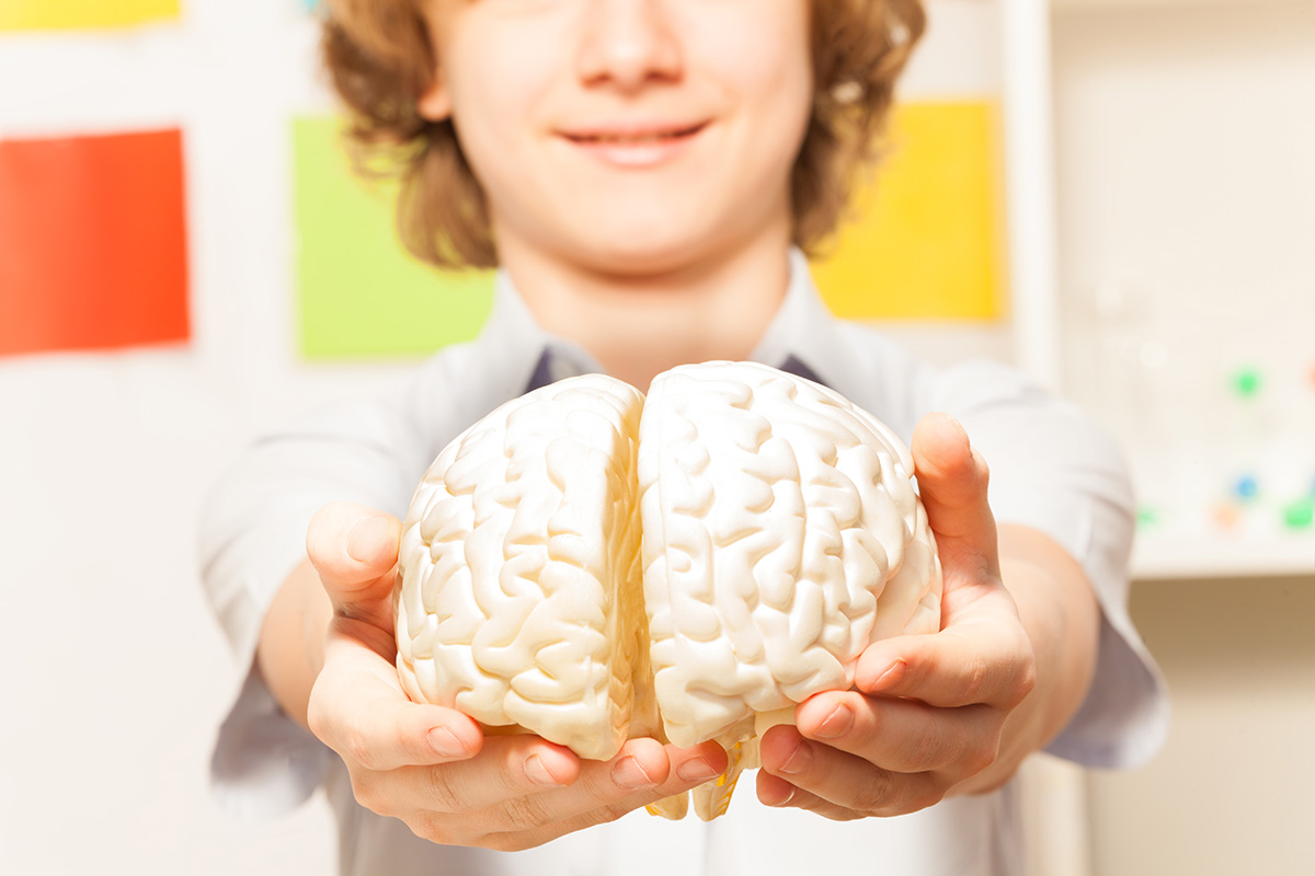 Najlepsze właściwości mózgu i jak je rozwijać?